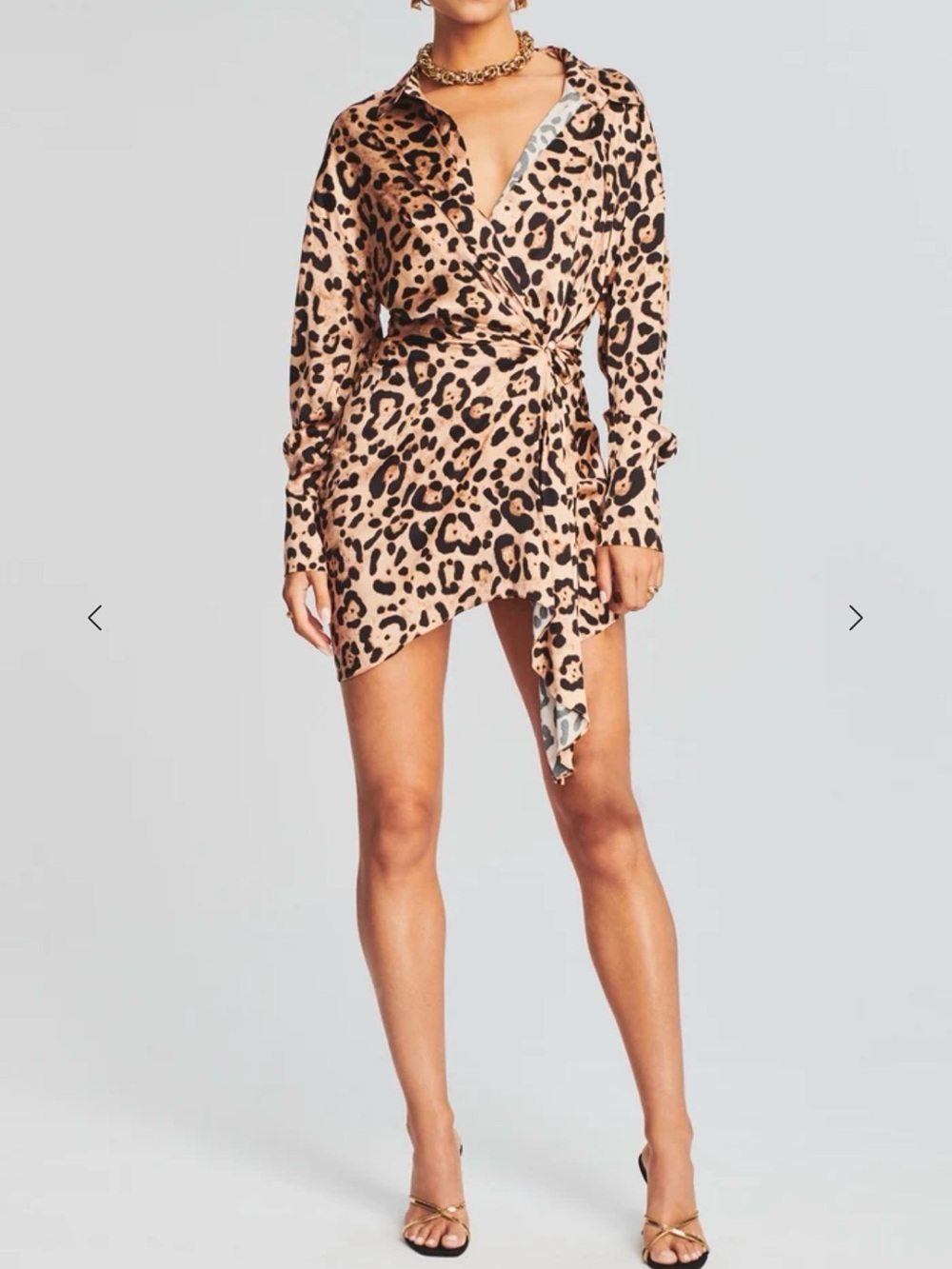 SEROYA Demi Silk Dress - Leopard 🐆